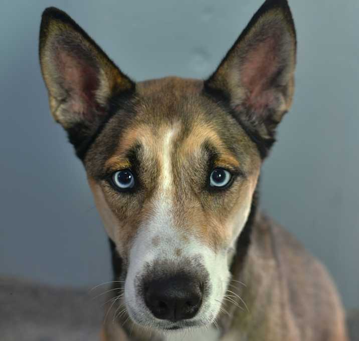 Photo of Lila