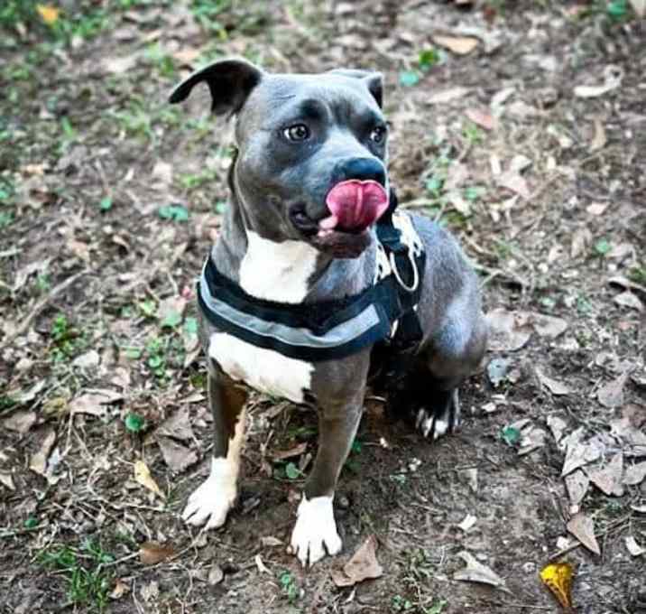 Photo of Ricky