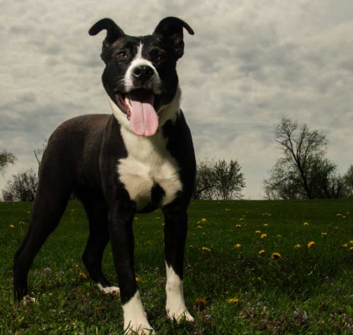 Photo of Spirit