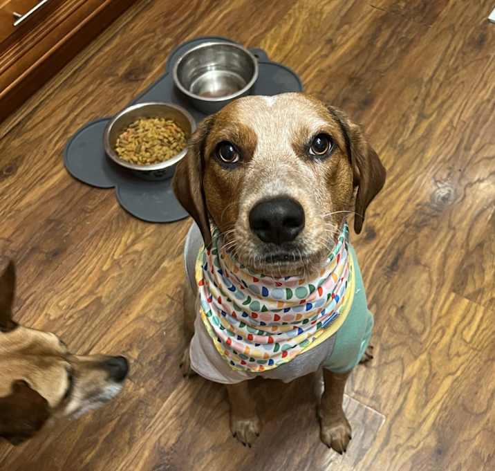 Photo of Gus