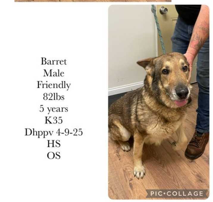 Photo of Barrett