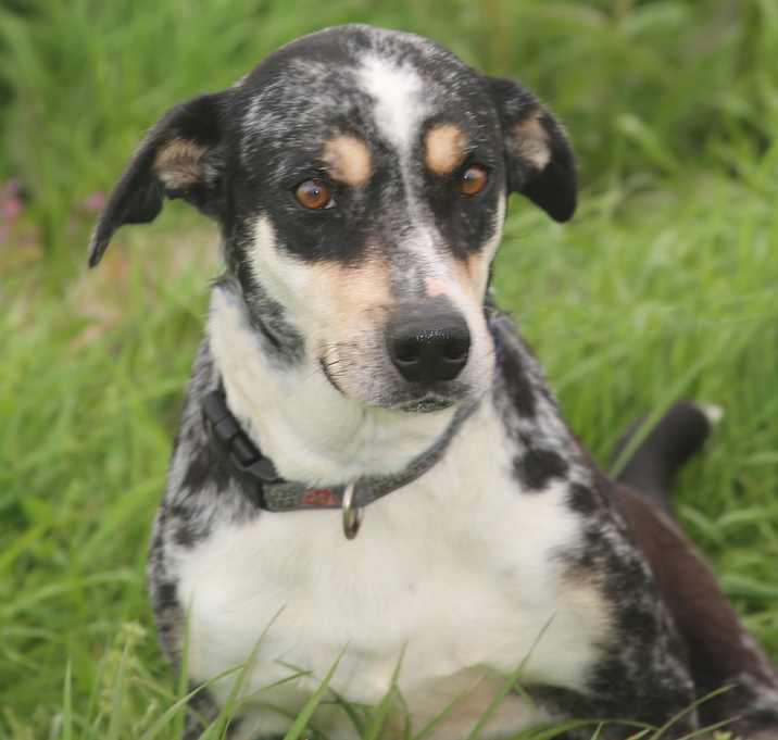 Photo of Clorisa