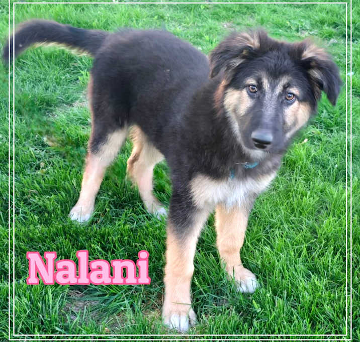 Photo of Nalani