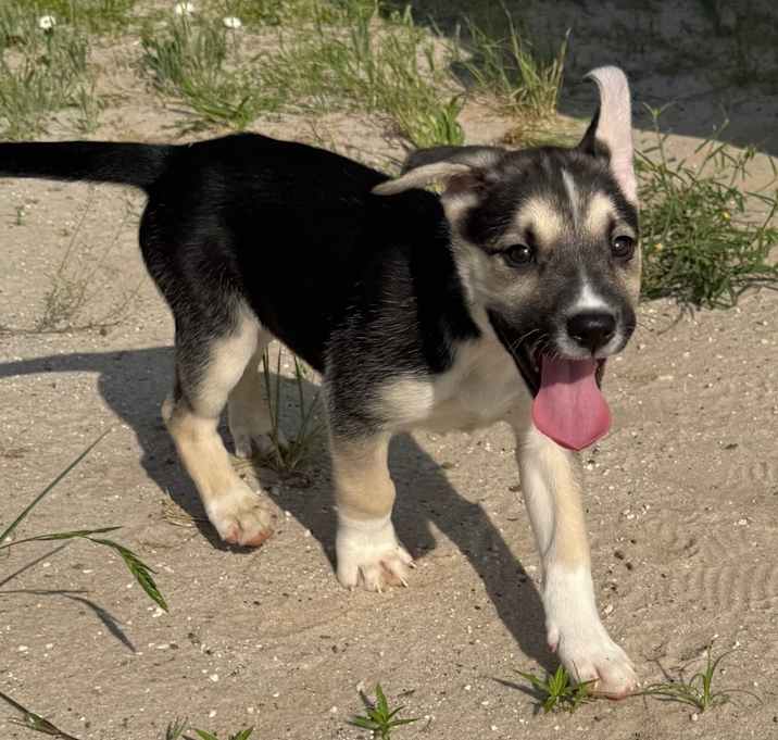 Photo of Kiki