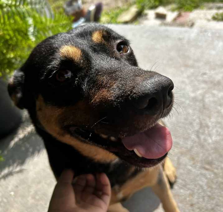 Photo of Kida