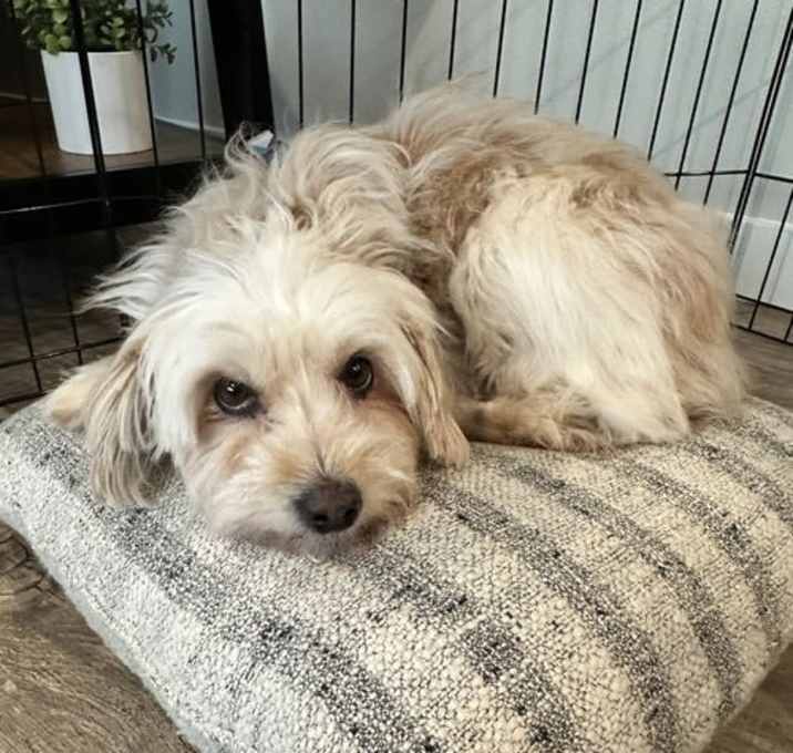 Photo of Bonita