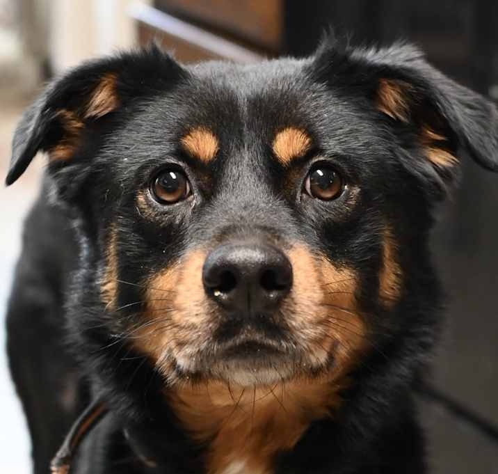 Photo of Axel