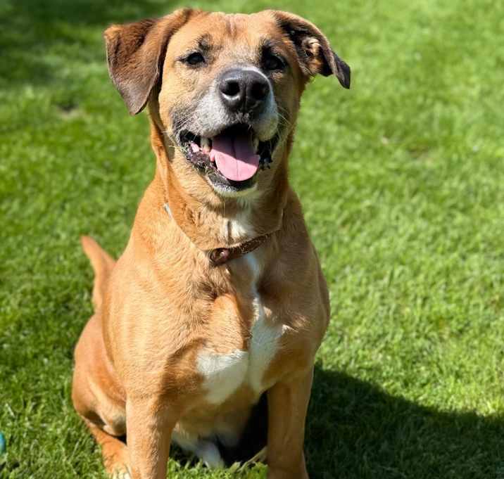 Photo of BURTUS