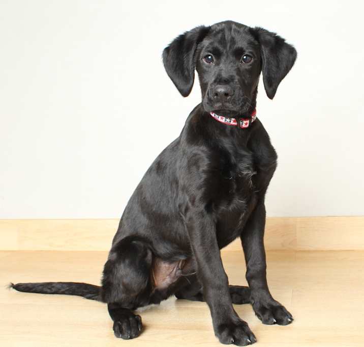 Photo of Jett D64408