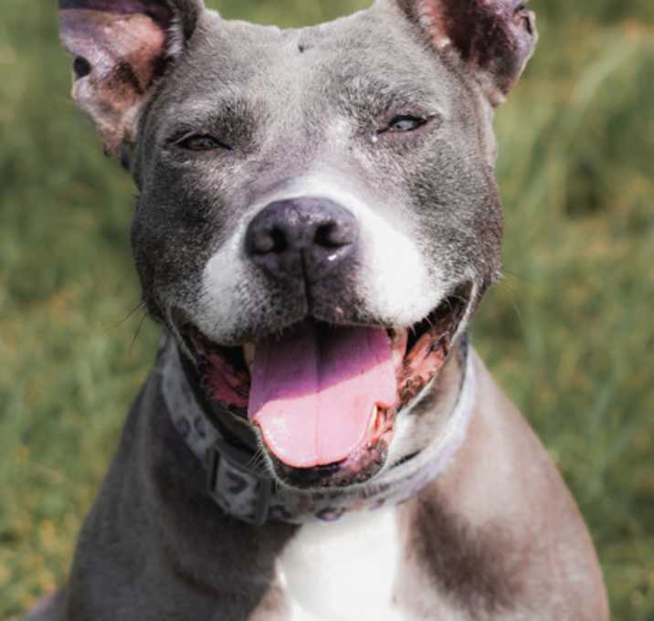 Photo of Macy