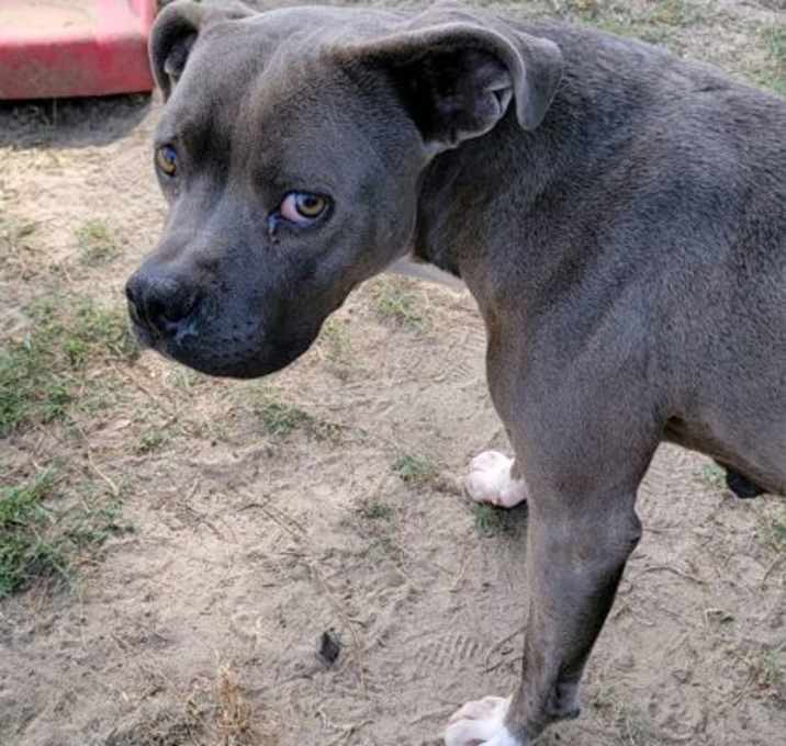 Photo of Truffle