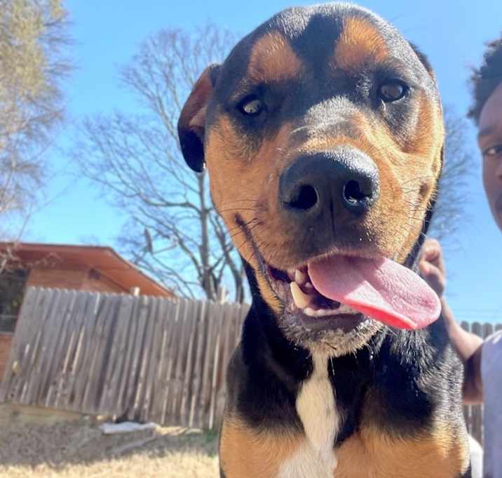 Photo of Rudy