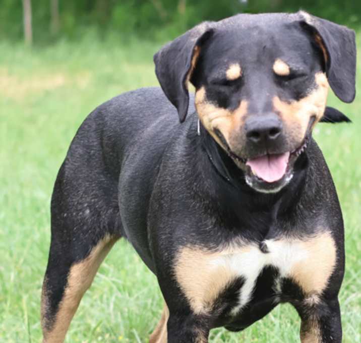 Photo of Reese