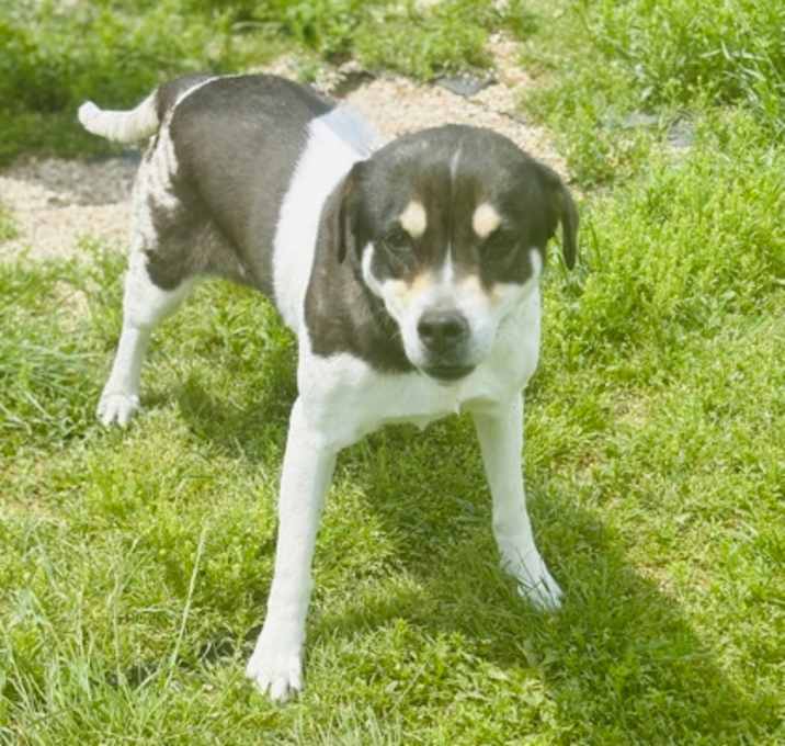 Photo of Kiwi