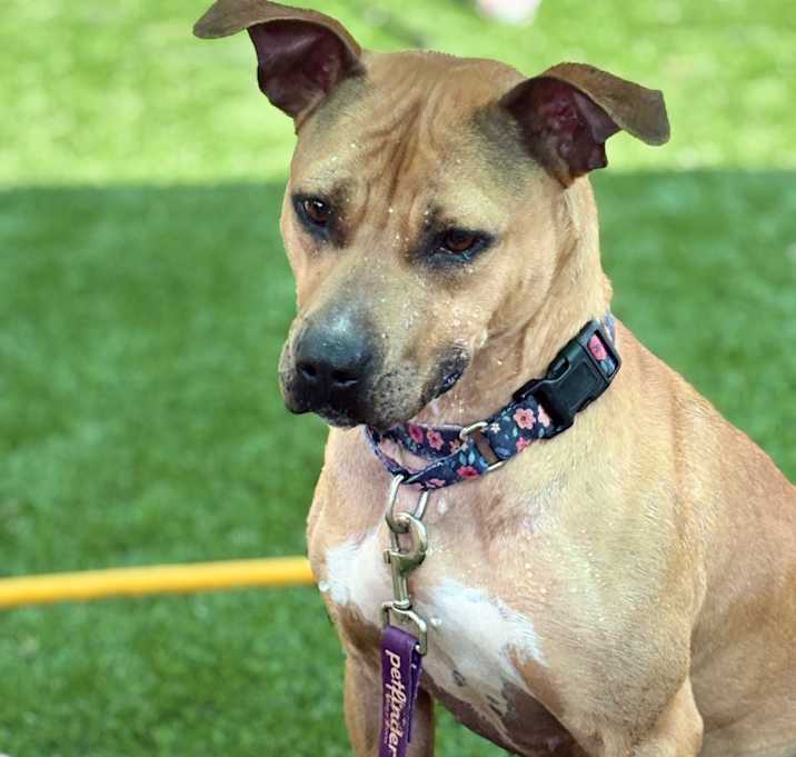 Photo of Molly