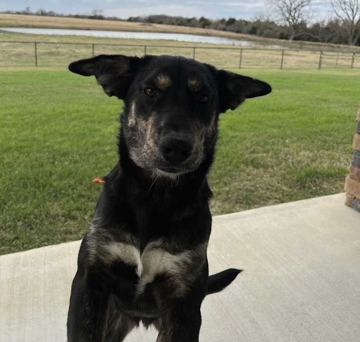 Photo of Evie