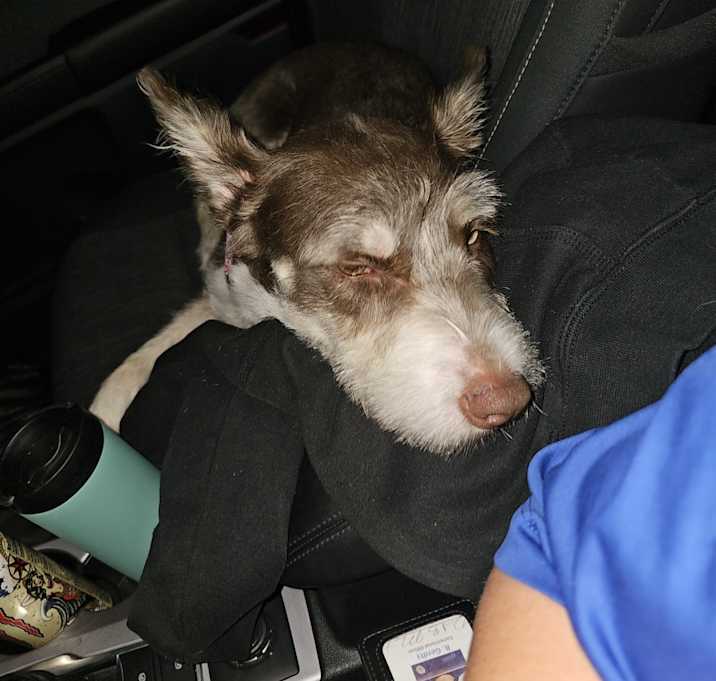 Photo of CoCo