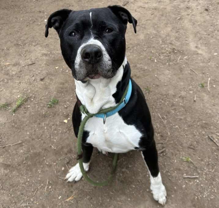 Photo of Kino (mcas)