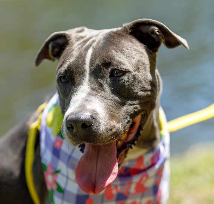 Photo of Tasha