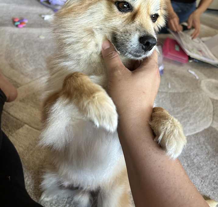 Photo of Duke