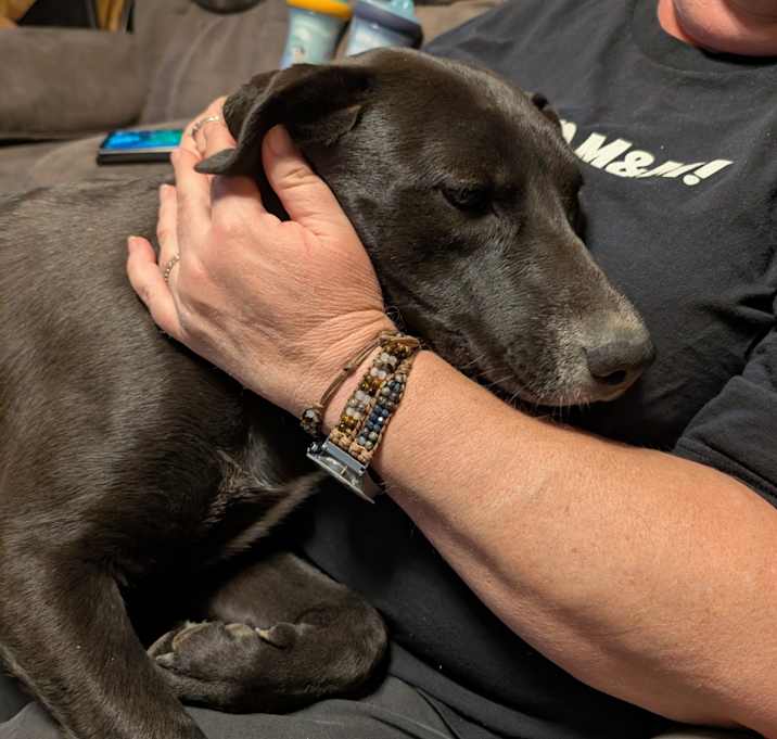 Photo of Shelby
