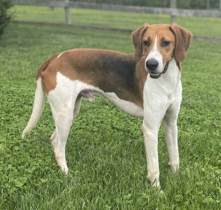Photo of Edgar