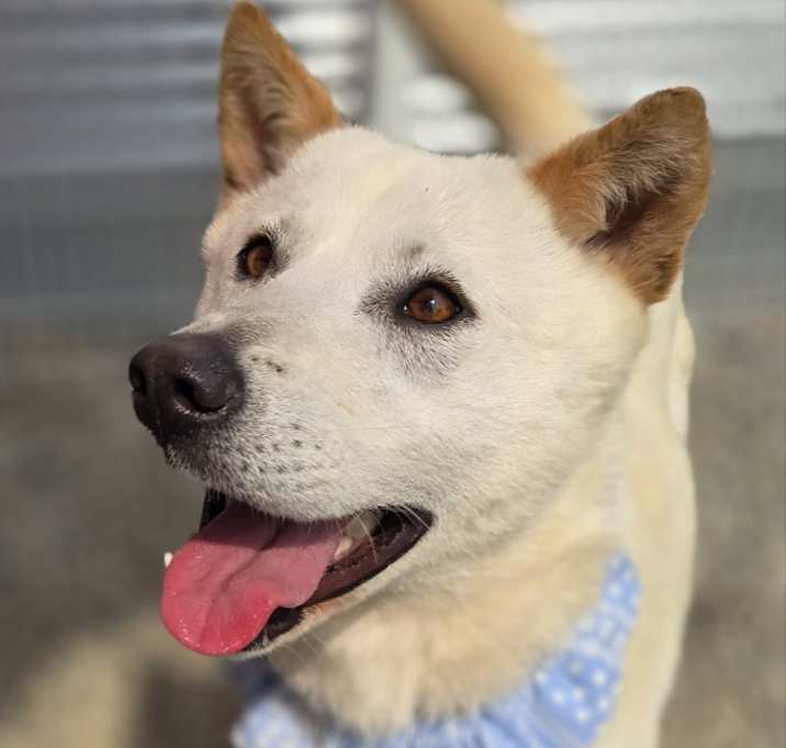 Photo of Mollly