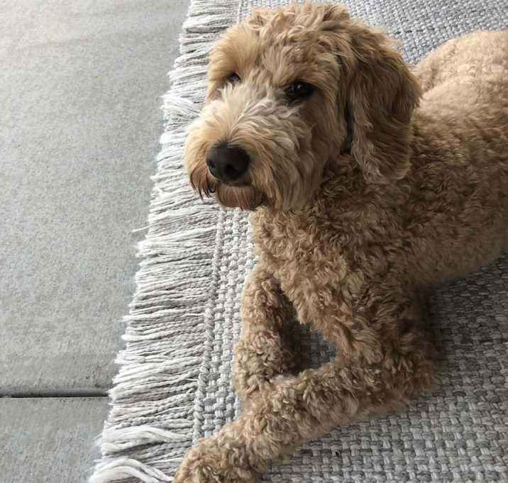Photo of Marv