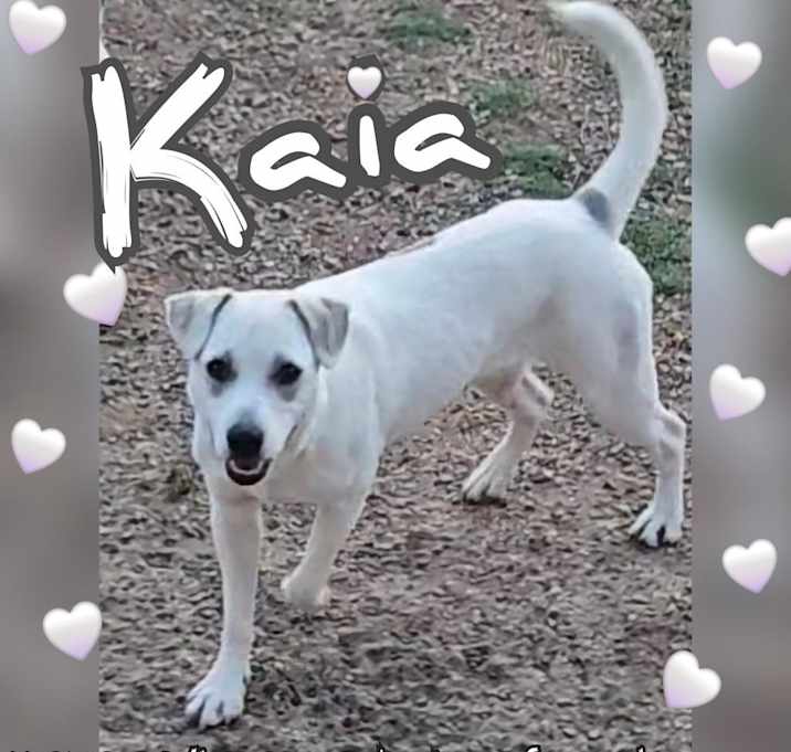 Photo of Kaia