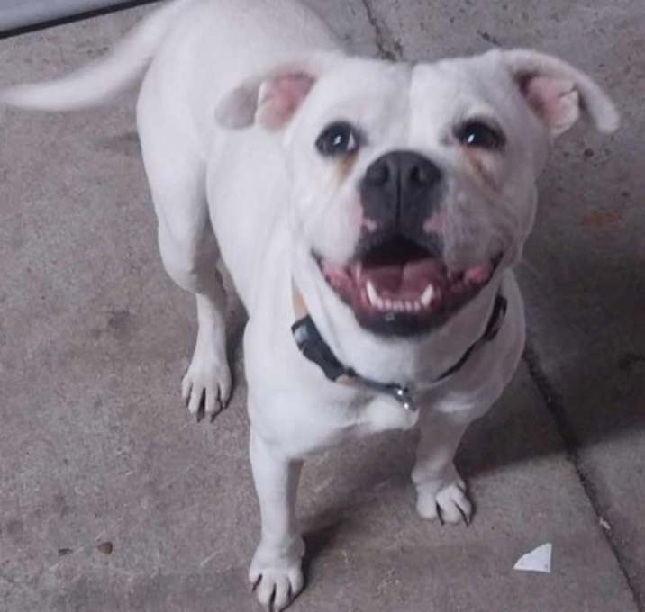 Photo of Sugar