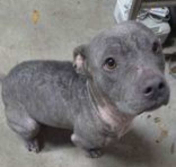 Photo of Winky