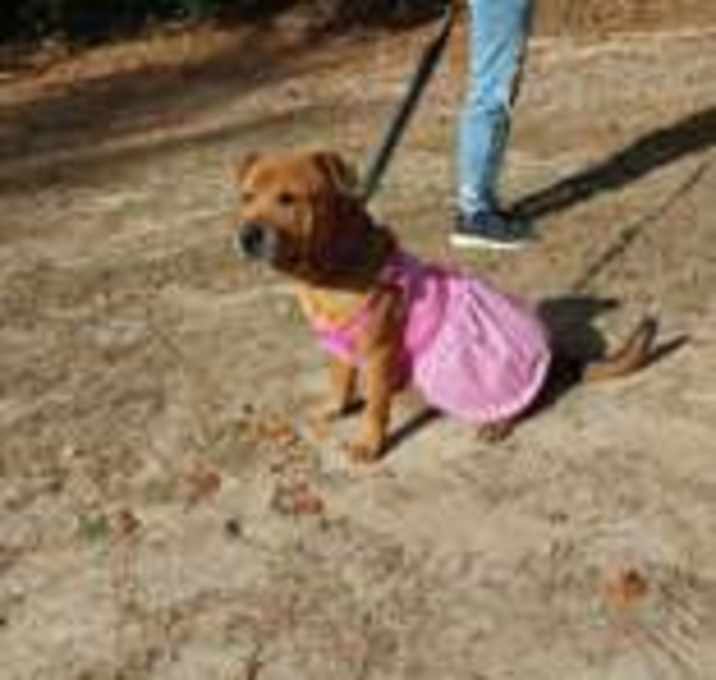 Photo of Little Legs