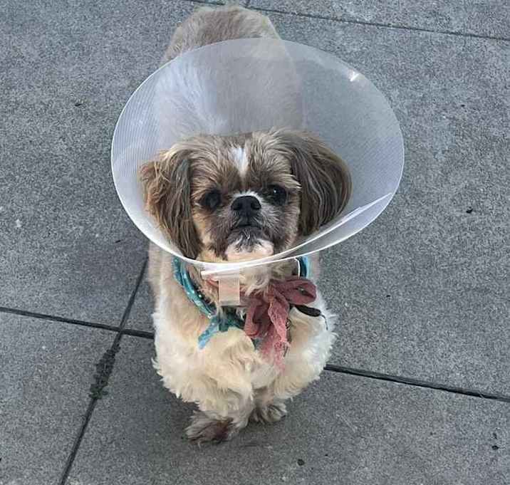 Photo of Winnie