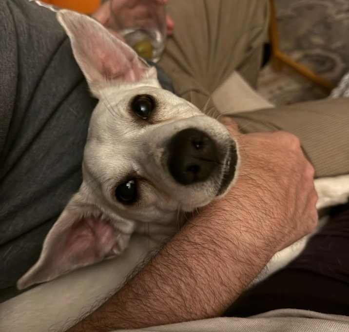 Photo of Kevin