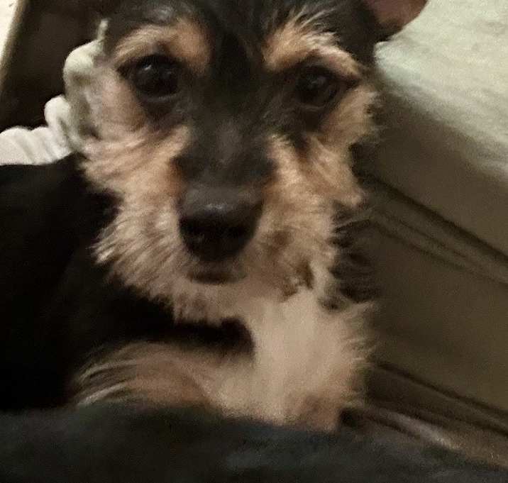 Photo of Ernie