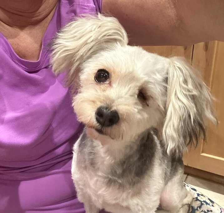 Photo of Willow