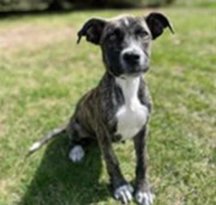 Photo of Sundance