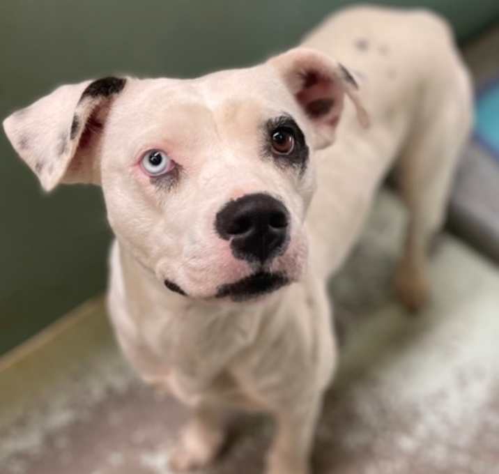 Photo of Dottie