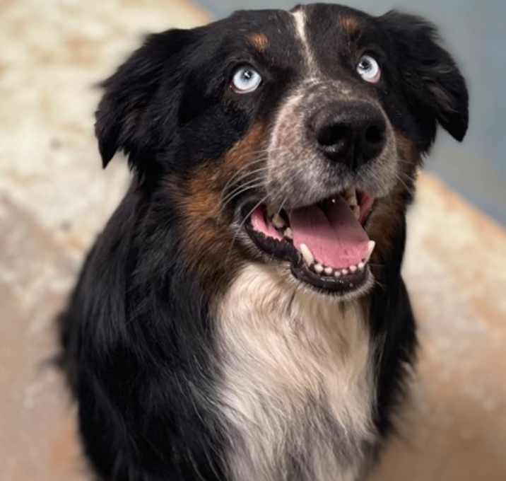 Photo of Cisco