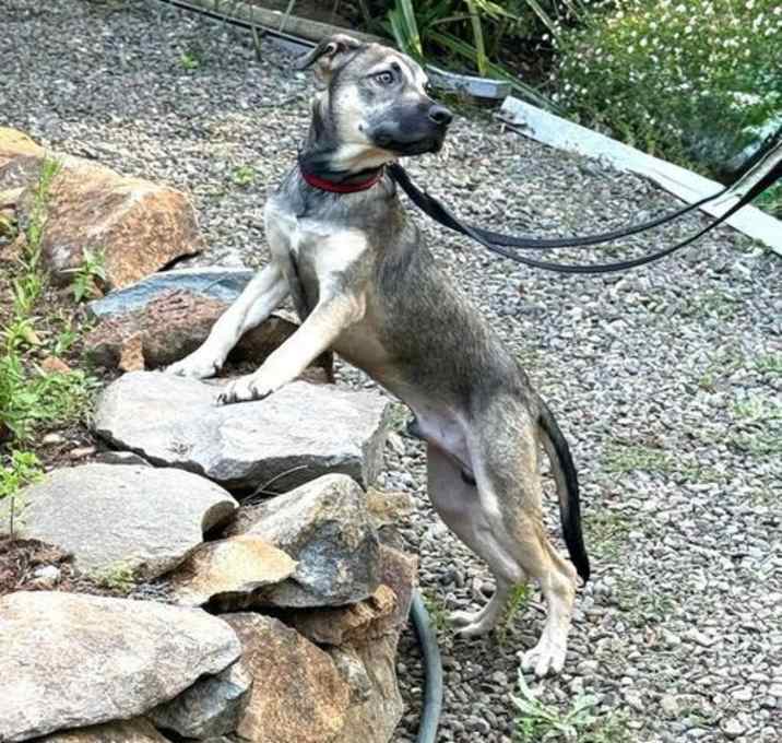 Photo of Hunter