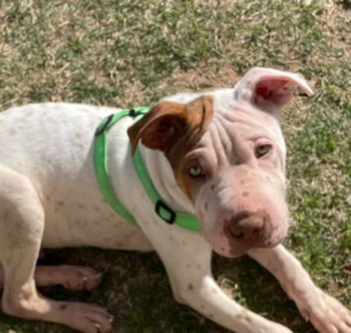 Photo of Timmy