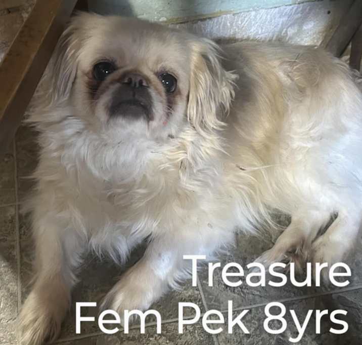 Photo of TREASURE ANN