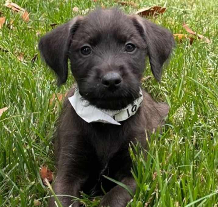 Photo of Flash