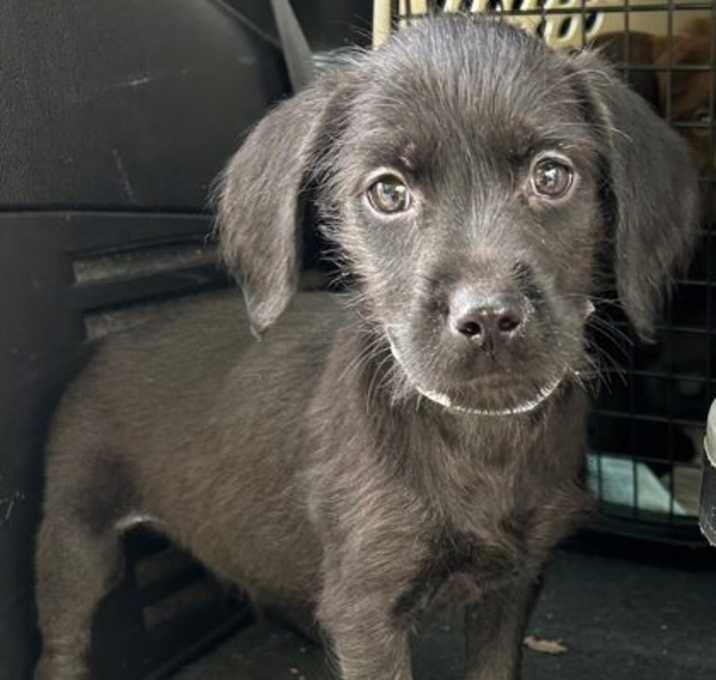 Photo of Flynn