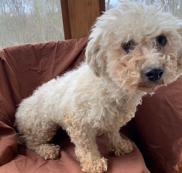 Photo of Dora