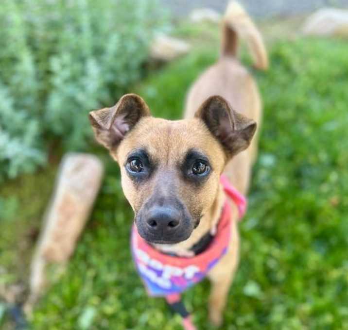 Photo of Birdie