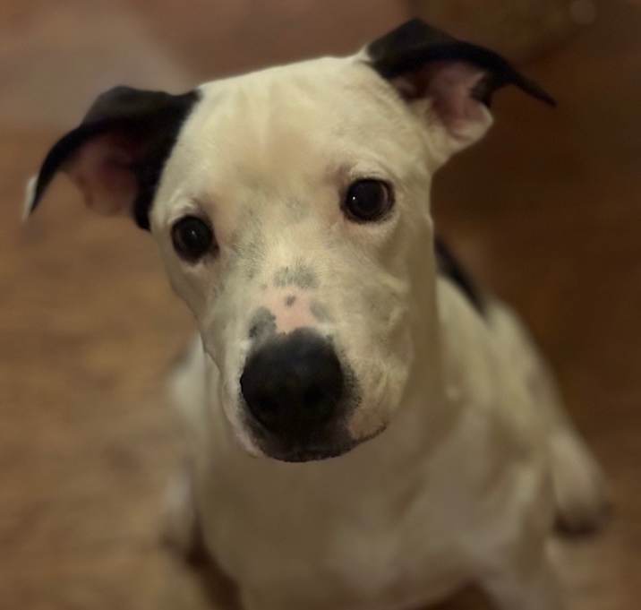 Photo of Squiggy