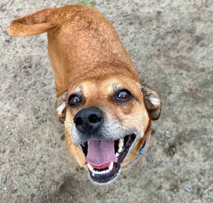 Photo of Honey