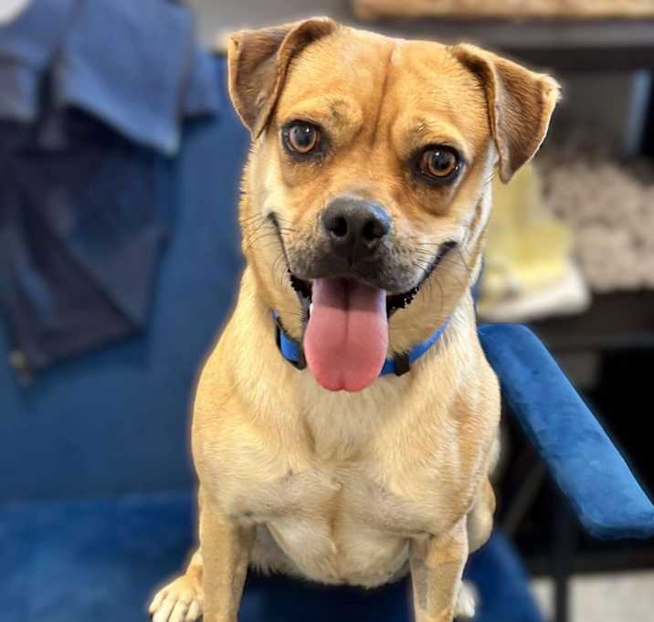 Photo of Delilah