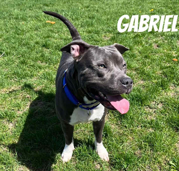 Photo of Gabriel
